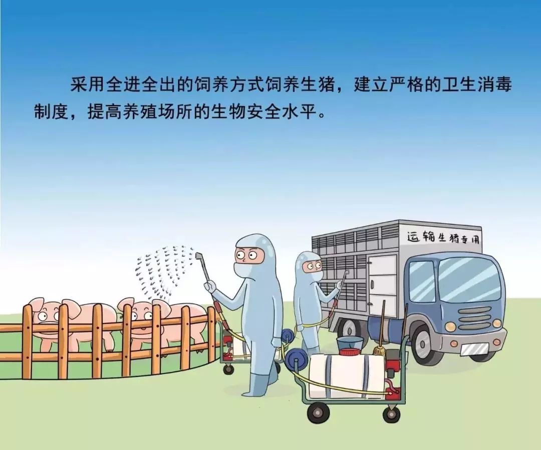 中国非洲猪瘟疫情，防控挑战与经验启示