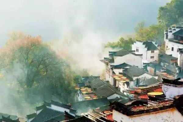 北京去婺源旅游全攻略，精选旅游网推荐，轻松规划你的水墨春色之旅