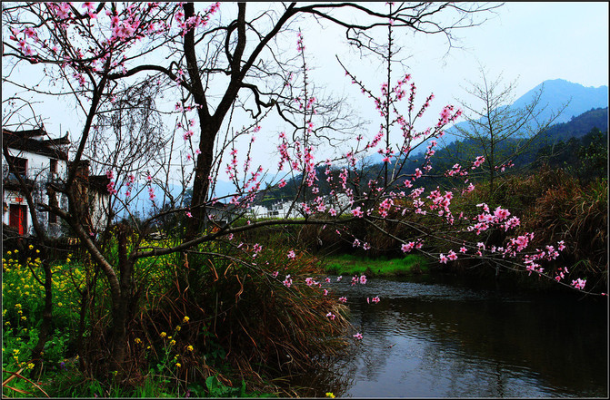 从北京到婺源，2015年一场穿越都市与古村的春日之约