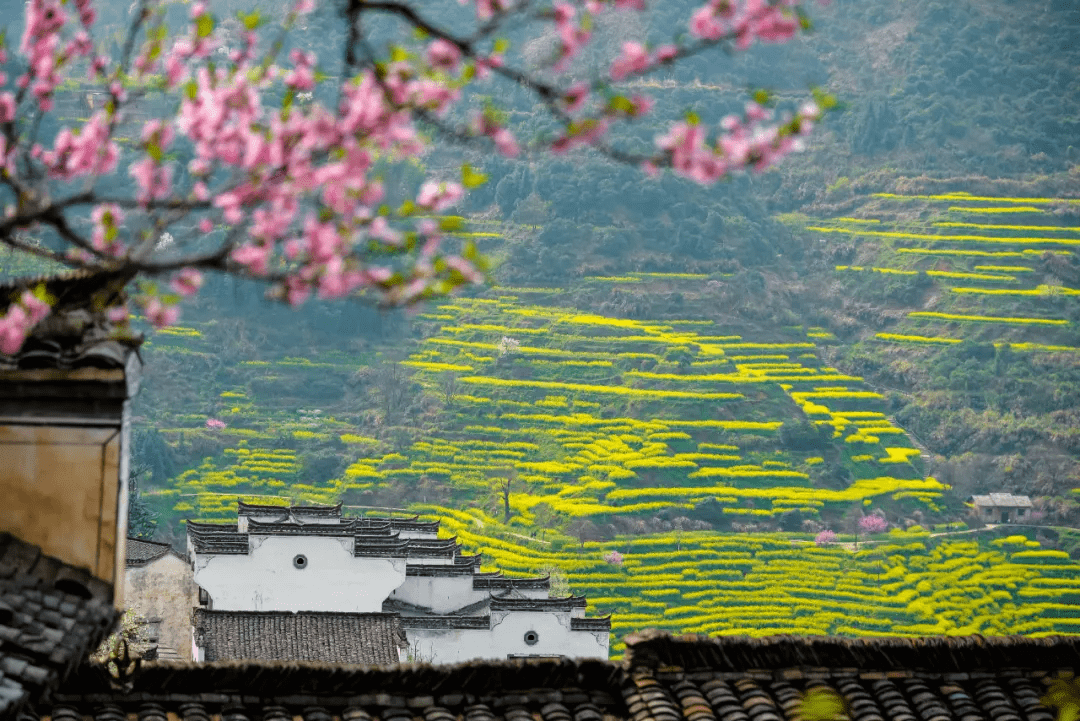 从北京到婺源，2015年一场穿越都市与古村的春日之约