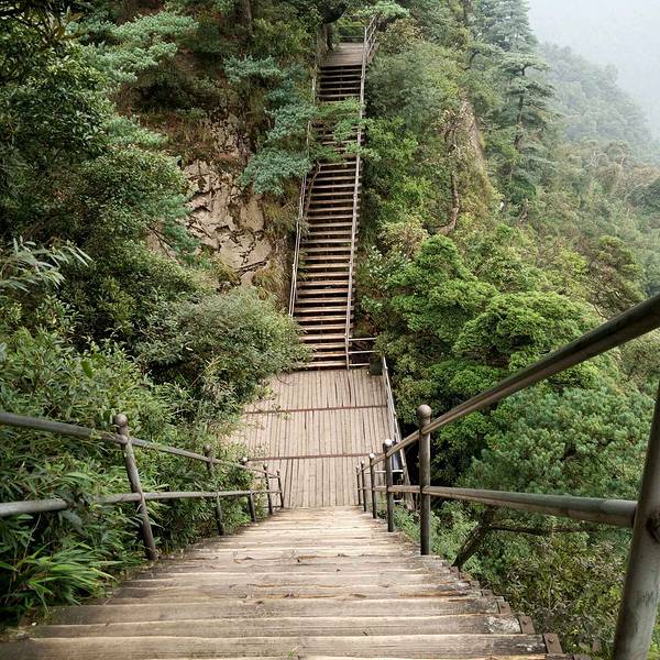 莽山旅游全攻略，费用、景点与游玩指南