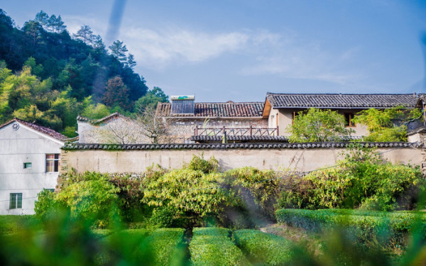 蓟县旅游指南，在山水与古韵间，邂逅津门的诗画时光