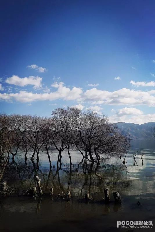 从酒城到风花雪月，泸州至大理自驾攻略，一路向南奔赴诗与远方