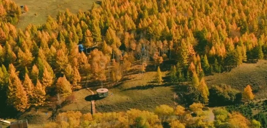 从长春出发，邂逅阿尔山，一场北国秘境的治愈之旅