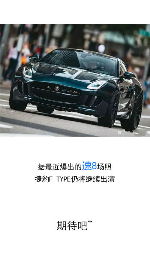 捷豹足球比赛比分，一场速度与激情的较量，一场战术与意志的博弈