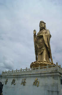 普陀山内禅意行，漫步海天佛国的心灵之旅