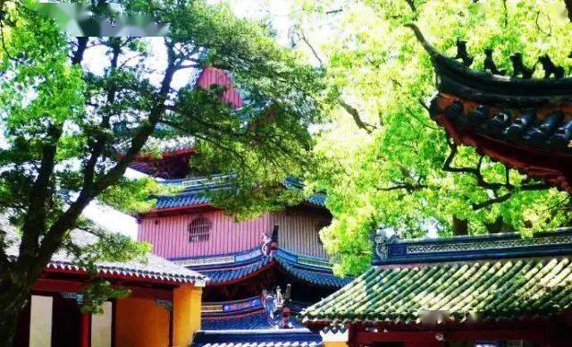 从英雄城到南海圣境，南昌到浙江普陀寺的心灵之旅