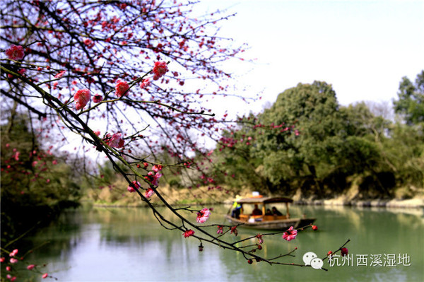 太湖春意浓，年味正当时——春节太湖旅游全攻略