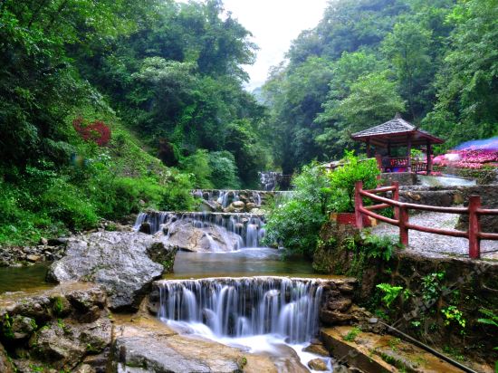 上海周边三天游，从水墨古镇到竹海山居，治愈周末时光