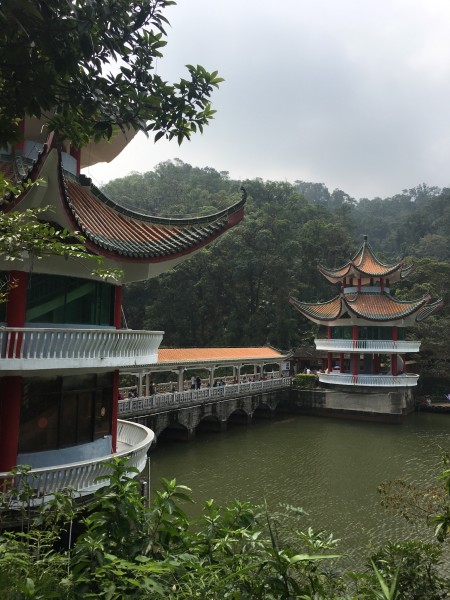 肇庆双绝记，在七星岩遇湖光山色，于鼎湖山听泉林禅音