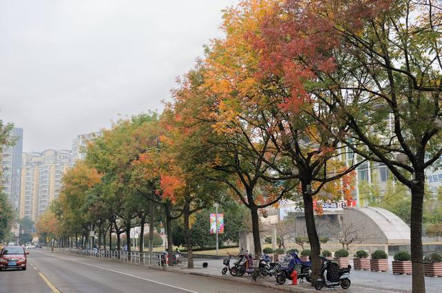 10月伦敦，在落叶与钟声中邂逅英伦秋日诗篇