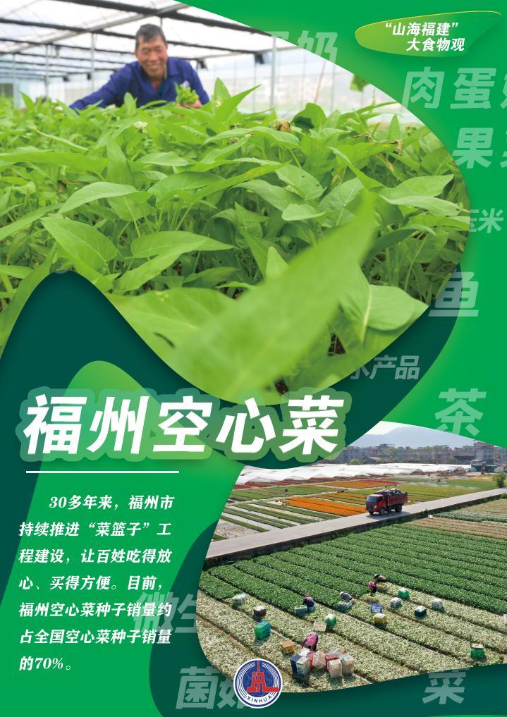 长崎，山海交织的味蕾诗篇，解锁百年融合的美食密码