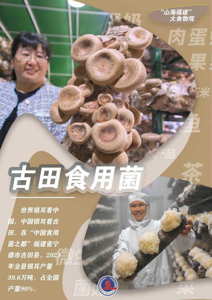 长崎，山海交织的味蕾诗篇，解锁百年融合的美食密码
