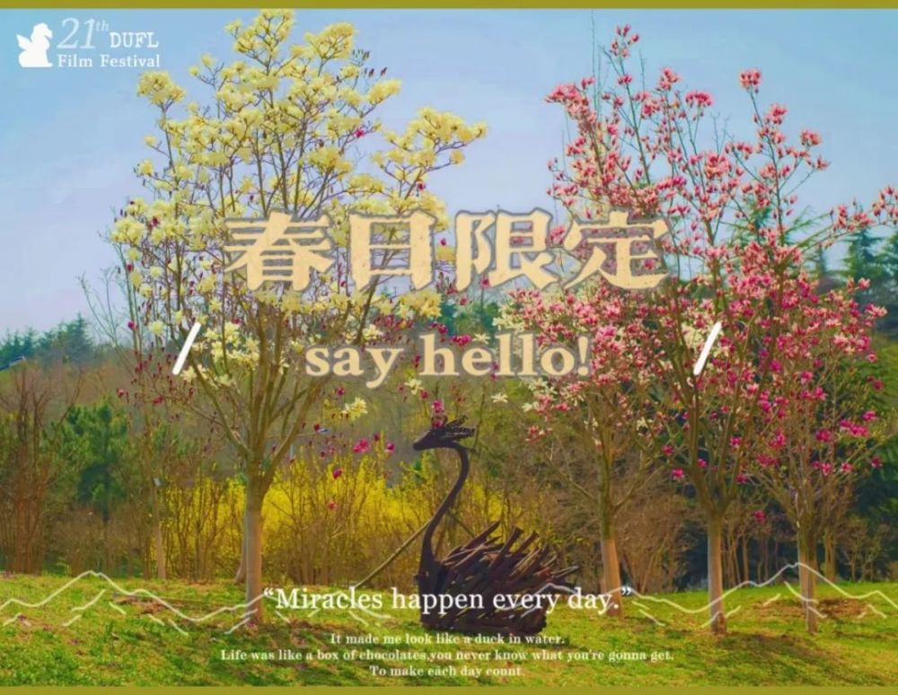 3月赴台，与春天撞个满怀——山海花事与市井烟火皆可期
