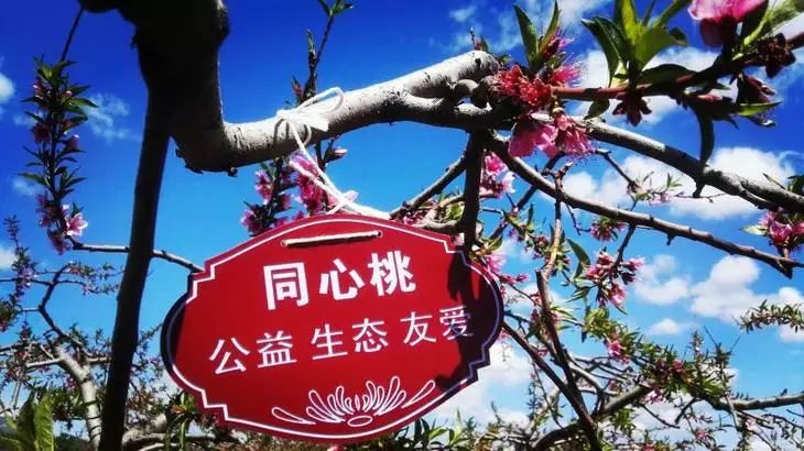 3月赴台，与春天撞个满怀——山海花事与市井烟火皆可期