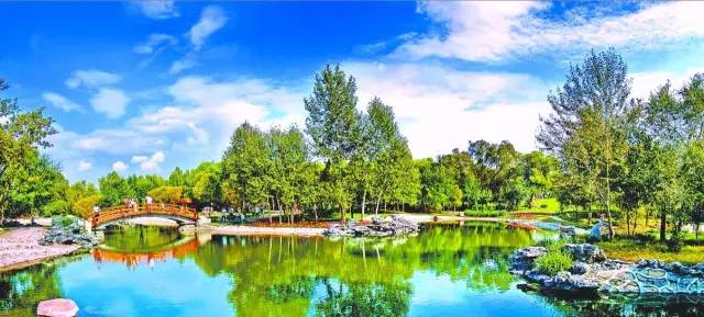 7月哈尔滨，避暑胜地，清凉一夏的浪漫之旅