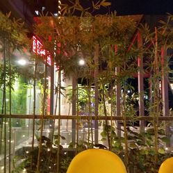 冬日暖阳里的成都慢时光，三天两夜，邂逅蓉城的温柔与烟火