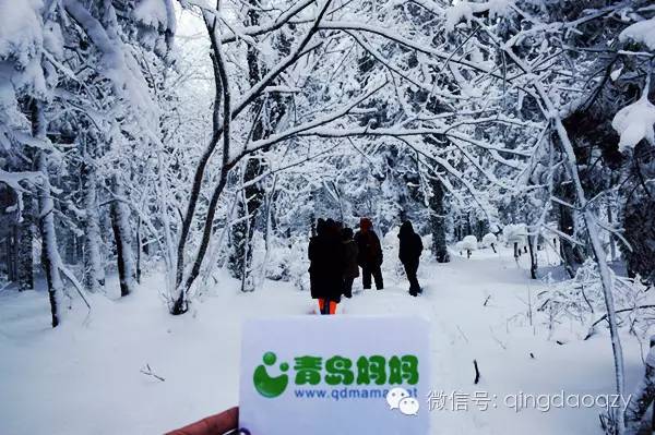 雪原上的年味儿，春节赴内蒙古，邂逅一场温暖的草原狂欢