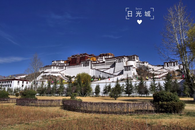 从中原腹地到雪域江南，郑州出发，邂逅林芝的诗与远方