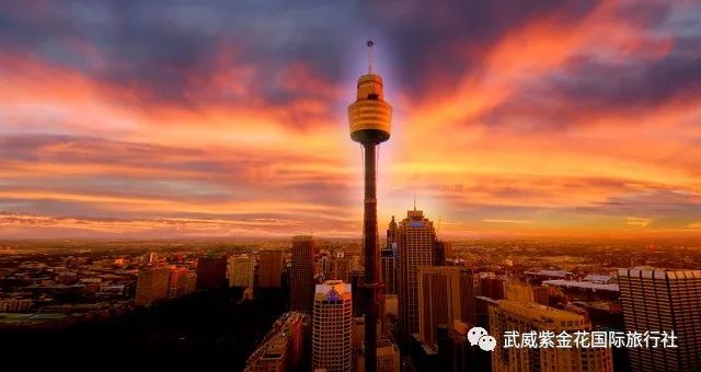 双城记，从悉尼的海港繁华到堪培拉的庄重诗意