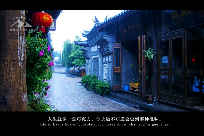 暑假云南双城记，在大理风花雪月，在版纳热带雨林邂逅清凉