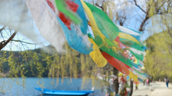 4月云南自由行，赴一场春日之约，邂逅12℃的温柔与烂漫
