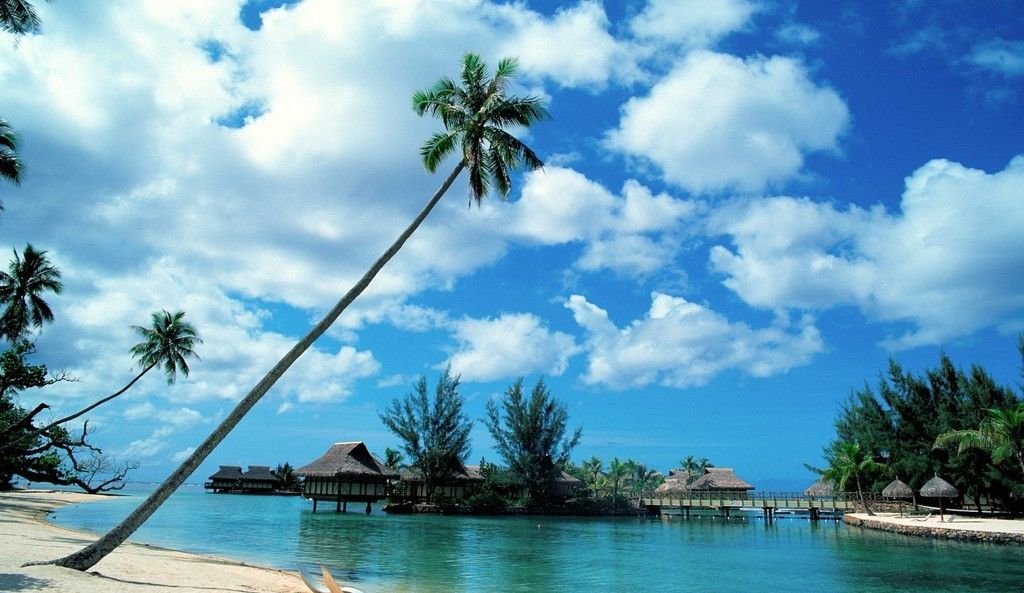 海南2月旅游攻略，邂逅冬日暖阳，解锁椰风海韵的完美假期