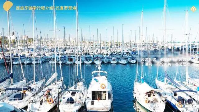 扬帆世界，梦启航程，探秘世界梦号的非凡之旅