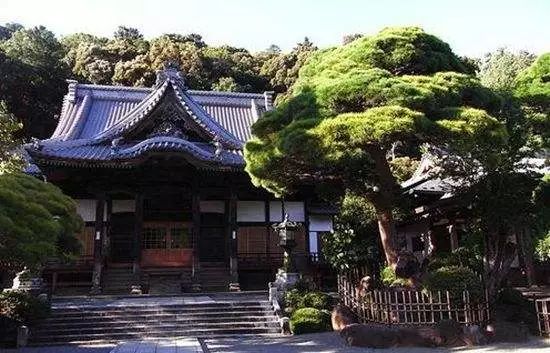 修善寺，在温泉与古寺间邂逅静美时光