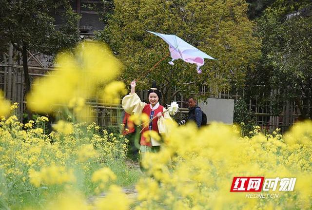 2月从广州出发，邂逅云南的暖冬与春色