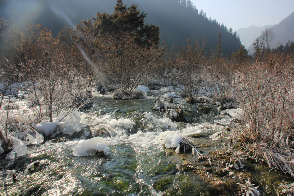 蒙顶山冬韵，雪落茶山，暖冬寻味之旅