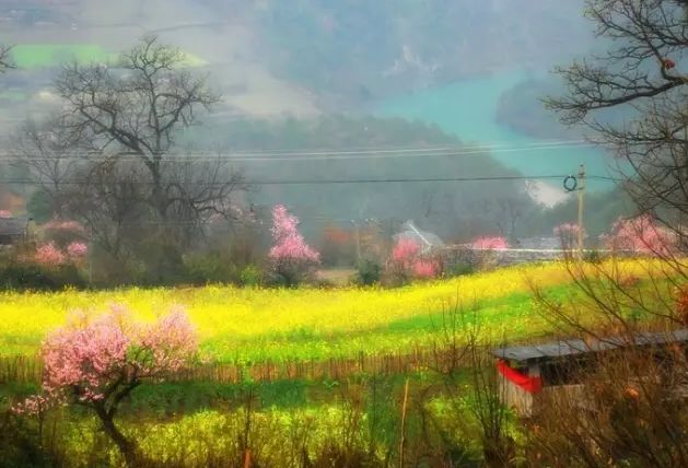 春节去山东，这些地方年味儿浓、风景美，错过等一年！