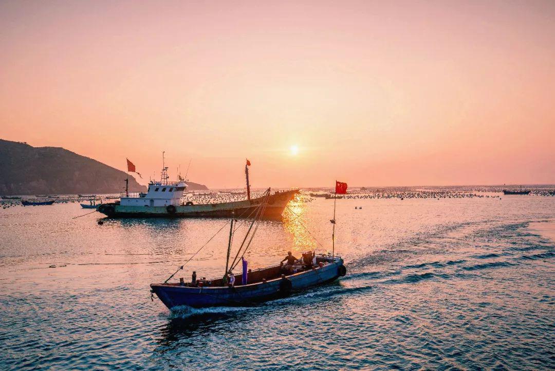 杭州风物志·定海海疆行，一场江南与海岛的深度对话
