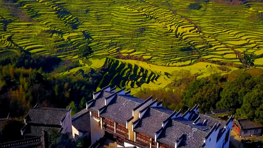 红河，梯田云海间的诗与远方，千年古城里的烟火人间