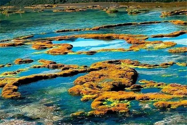 黄龙五彩池，大地调色盘上的高原奇境