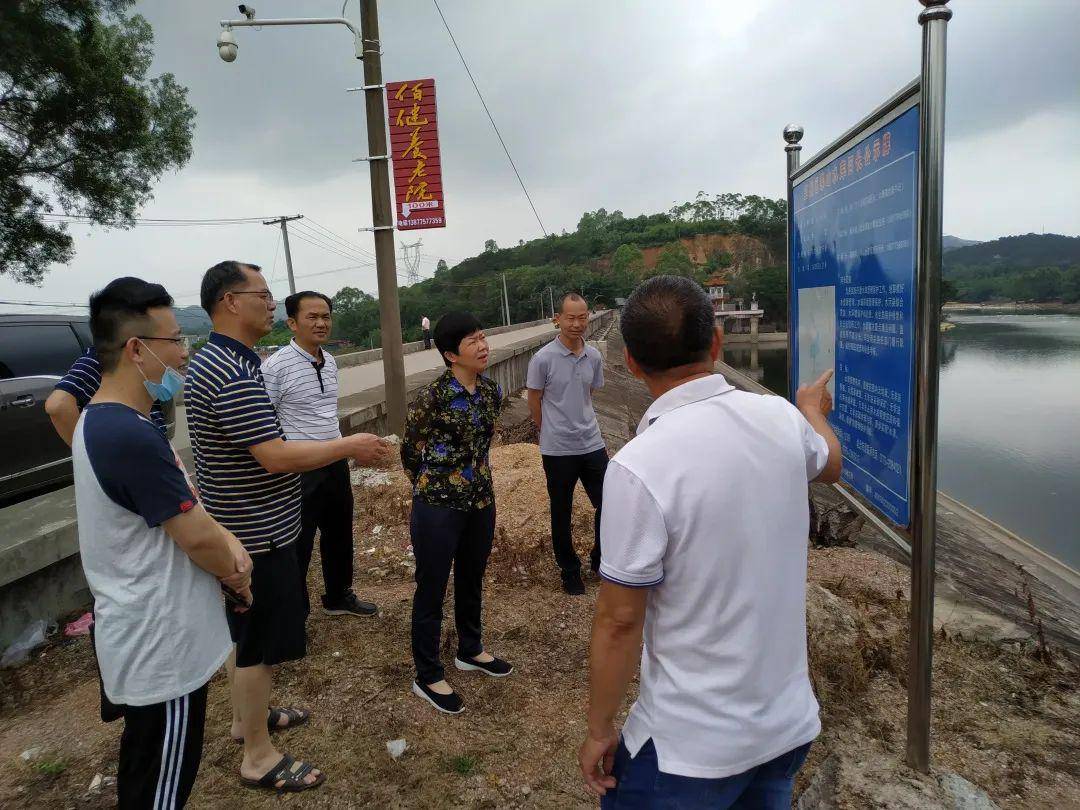 温州最新天气查询指南，实时动态与出行建议