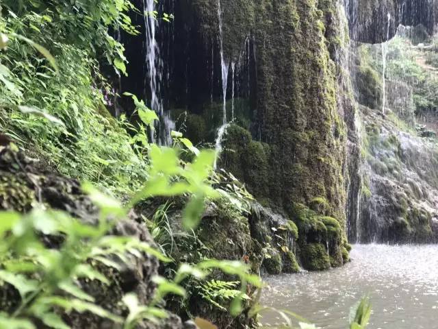 跟团畅游鸡冠洞与重渡沟，一场省心又惊艳的豫西山水之旅