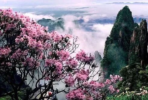 五月春未尽，昆明周边这些好去处，不负春光不负卿