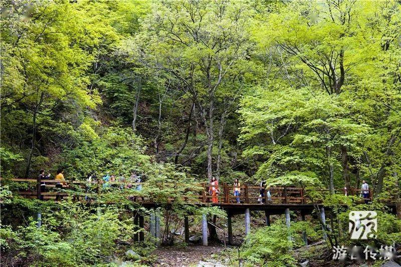 九阜山，寻幽探秘的天然氧吧，治愈身心的生态之旅