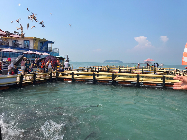 海南岛淡季旅游，避开人潮，邂逅性价比与海岛慢生活