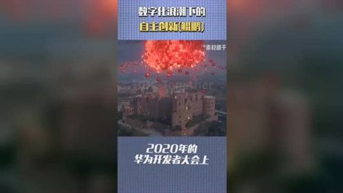 海洋之神590官网3380，数字浪潮中的航行指南