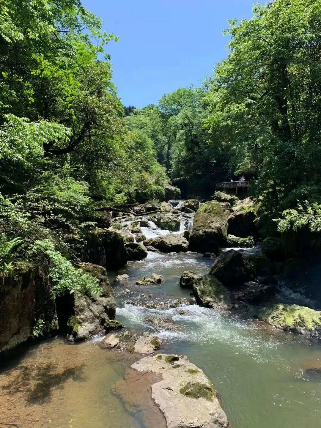 探秘黔江坪坝营，原始森林里的天然氧吧与秘境之旅