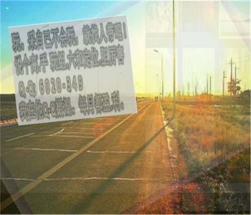 云顶体育官网，数字时代体育生态的重构与价值升维
