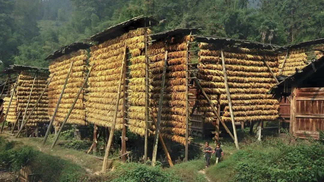 占里村，侗寨深处的人口密码与诗意栖居