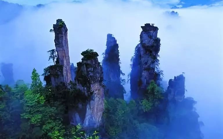 从福州出发，赴一场张家界的奇幻之梦——报团旅游全攻略