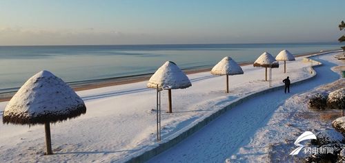 冬游威海，当雪与海共赴一场暖冬之约