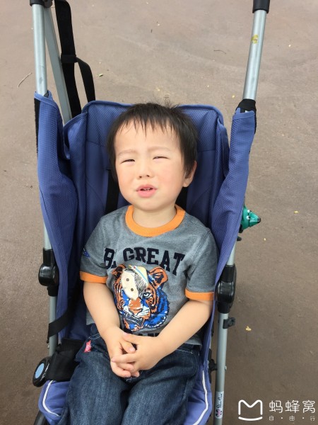 带三岁娃逛香港，一场有笑有汗的亲子初体验