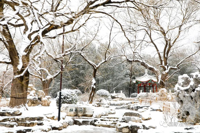 雪落颐和园，冬韵绘京华