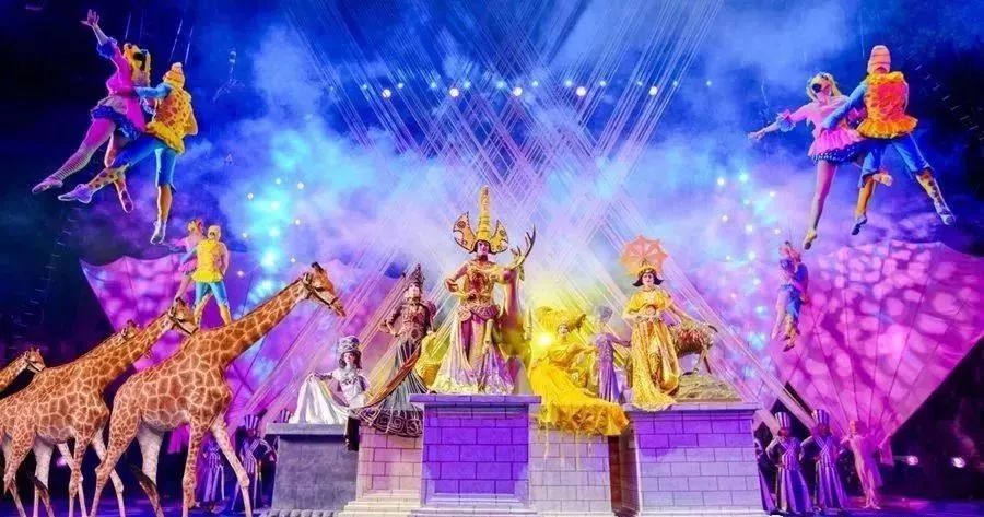 广州长隆三天三夜深度游，解锁欢乐密码，畅玩奇妙世界