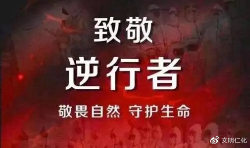 镜头里的疫情图鉴，每一帧都是未完待续的时代叙事